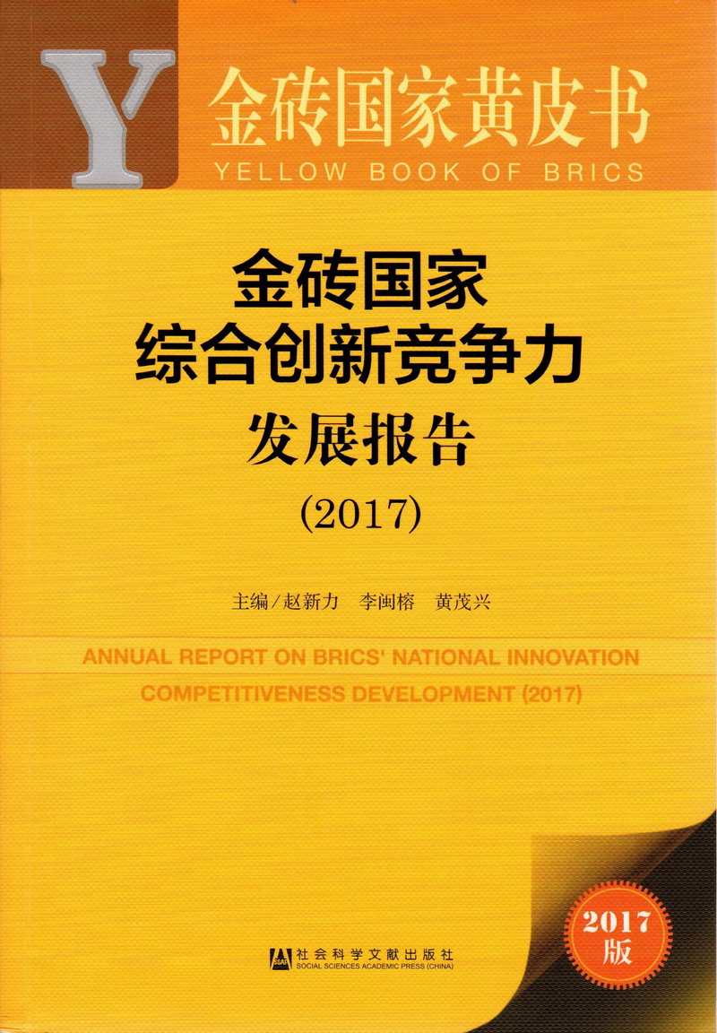 操逼视频啊啊啊嗯嗯嗯金砖国家综合创新竞争力发展报告（2017）